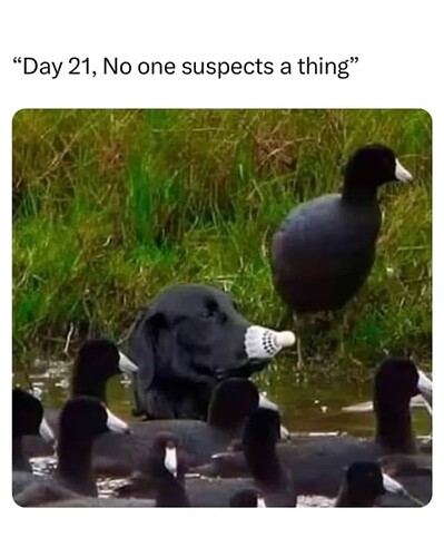 Day 21