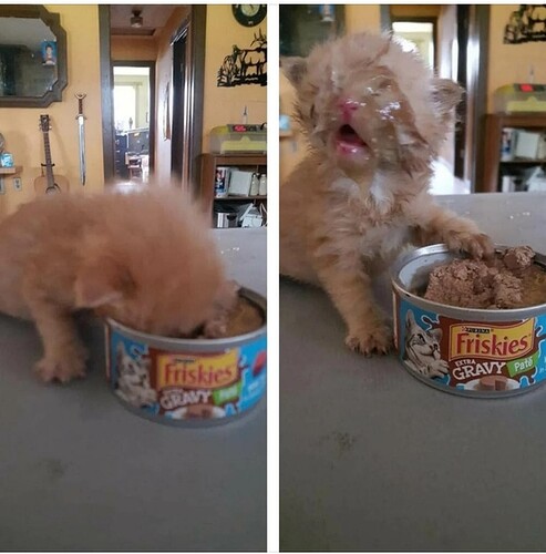 main-qimg-6a16f3689cca201dd1243e8865799a87