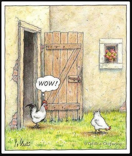 460006176_8423901194396039_8512770107097747000_n