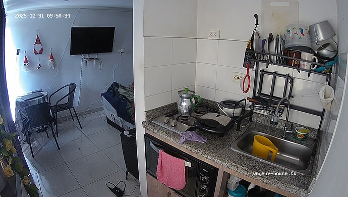 realm142-cam11-1767192665