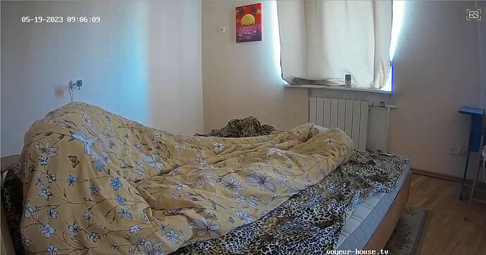Screenshot 2023-05-19 at 00-11-58 Living room camera at Playboy House reallifecam apartment at Voyeur House TV (cam13)