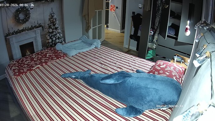 realm144-cam16-1769547806