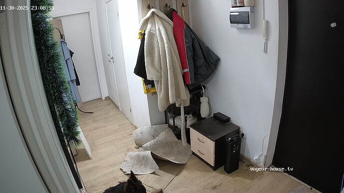 realm111-cam110-1764533371