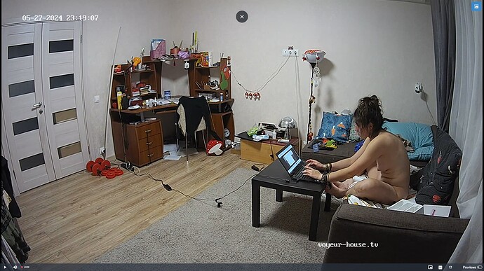Ashampoo_Snap_lundi 27 mai 2024_22h19m53s_045_Living room camera at Camille reallifecam apartment at Voyeur House TV (cam15) - Google Chrome