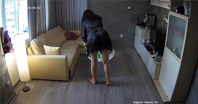 Screenshot 2023-07-25 at 13-06-58 Alida Gerda apartment with reallifecam cameras at Voyeur House TV