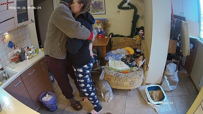 realm34-cam12-1769451016