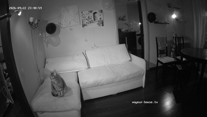 realm7-cam15-1790110248 (1)