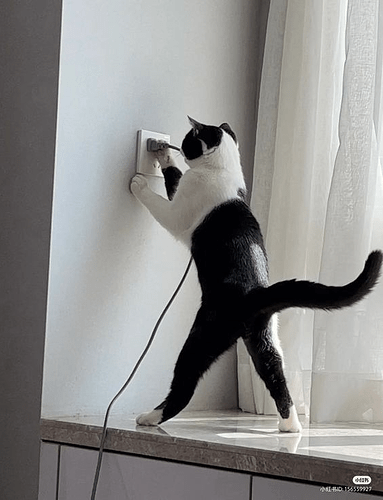 You called for an electrician and this is who they sent