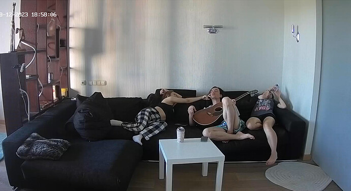 Screenshot 2023-08-12 at 13-36-41 Living room camera at Tonk reallifecam apartment at Voyeur House TV (cam14)