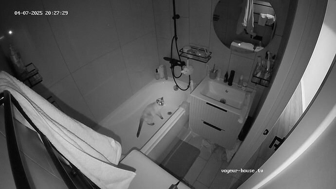 realm67-cam18-1744046918