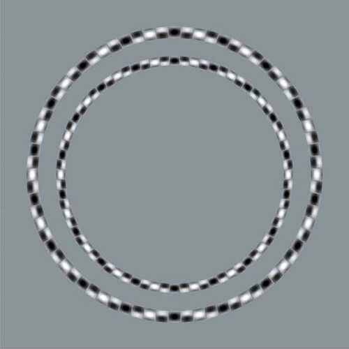 437783352_7641397662577414_7423393215621111751_n