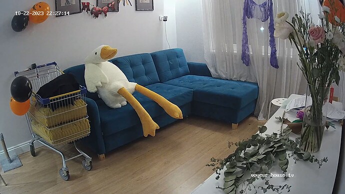 realm39-cam15-1698003521