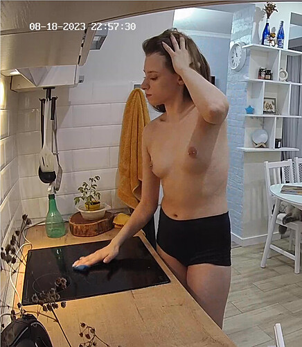 Screenshot 2023-08-18 at 15-58-07 Kitchen camera at Bert & Rissa reallifecam apartment at Voyeur House TV (cam11)