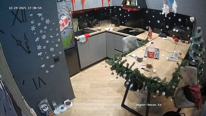 realm108-cam11-1766586691