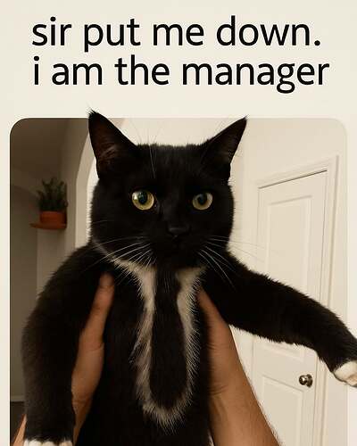 manager