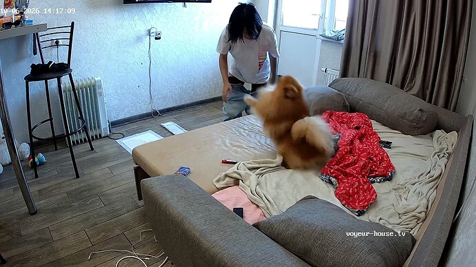 realm5-cam14-1791285553