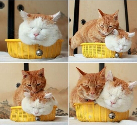 main-qimg-ce33dcdc07f195d831a5b075e764a713