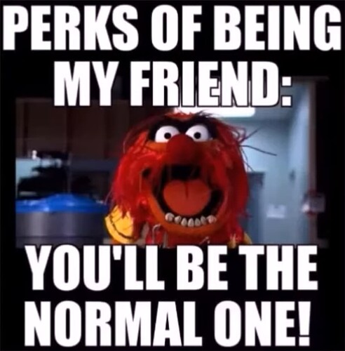 The Normal One