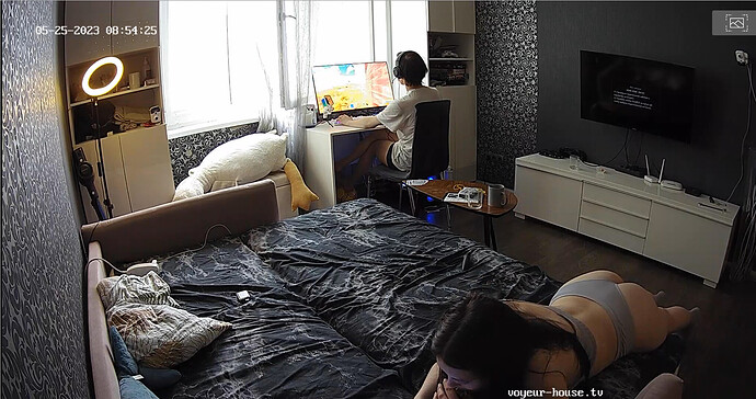 Screenshot 2023-05-25 at 01-55-01 Silver & Bradley apartment with reallifecam cameras at Voyeur House TV