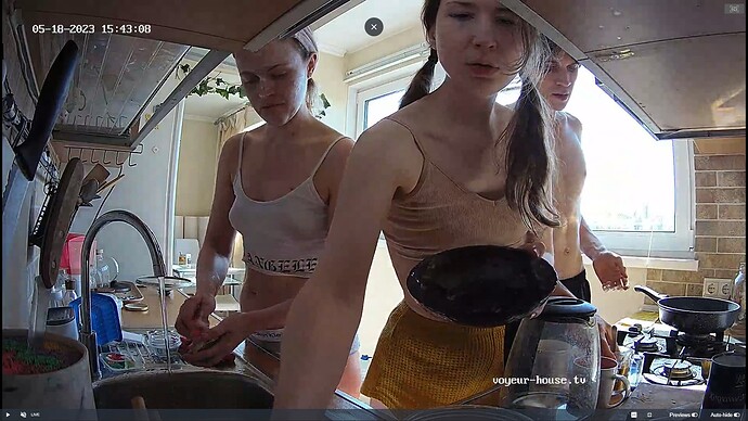 Ashampoo_Snap_jeudi 18 mai 2023_14h43m49s_007_Camille apartment with reallifecam cameras at Voyeur House TV - Google Chrome