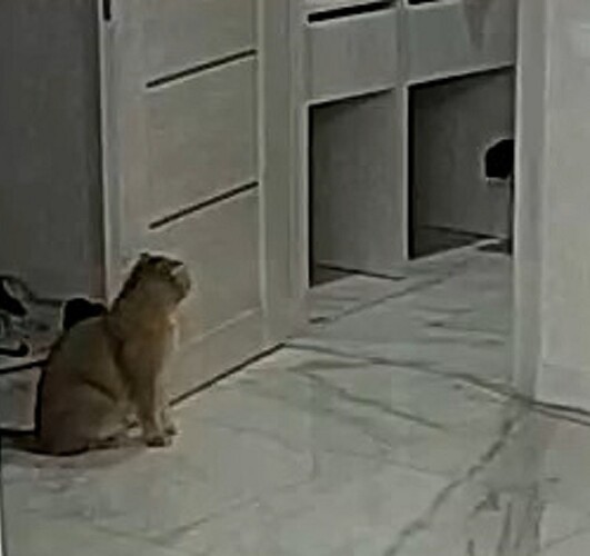 Busya at the wardrobe again 2