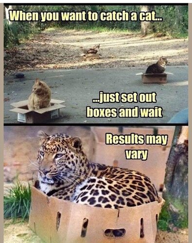 main-qimg-de179743b174a0b6b50c119be48819f0-lq