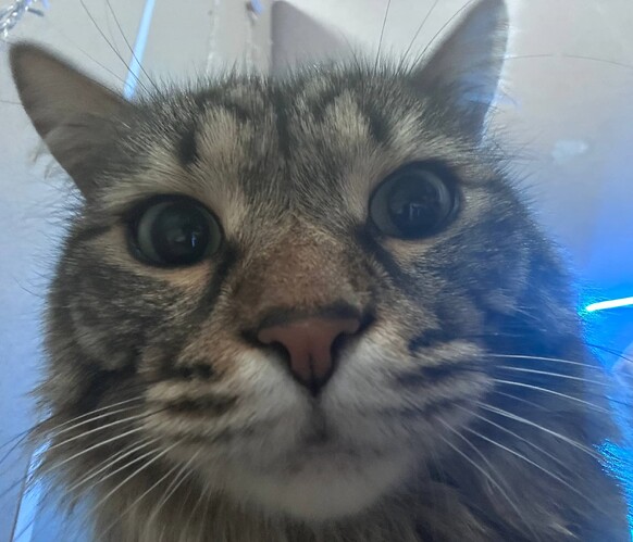 photo_2026-03-09_19-58-51