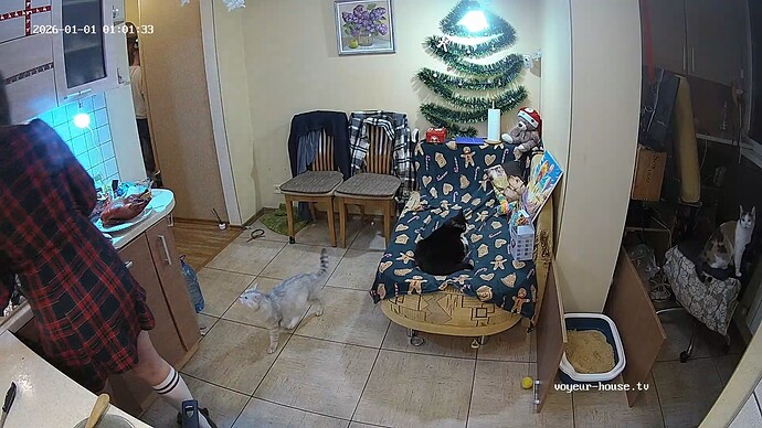 realm34-cam12-1767231411