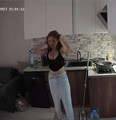 Screenshot 2023-08-15 at 09-01-12 Kitchen camera at Nikki reallifecam apartment at Voyeur House TV (cam11)