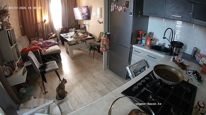 realm18-cam11-1773747048