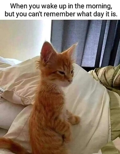 main-qimg-3a3e0ad5b4fcb32ad39d8a56e5dc83c5