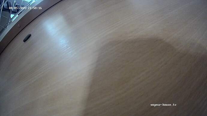 realm12-cam118-1754423928