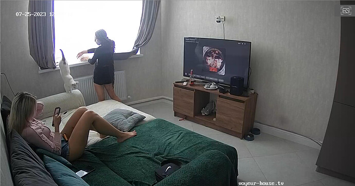 Screenshot 2023-07-25 at 05-08-02 Living room camera at Ceres reallifecam apartment at Voyeur House TV (cam13)