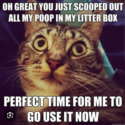 main-qimg-868aba36f74ef14d0e416f9e63ed3c7d