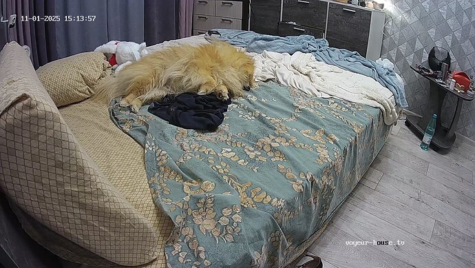 realm18-cam16-1761999272