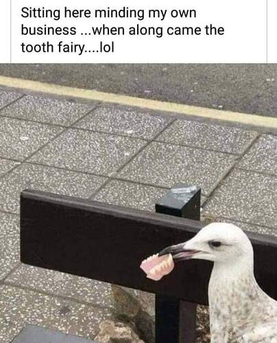 FB_IMG_1684343844966