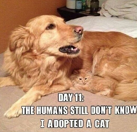 main-qimg-2bce0a4d073e105a3c998a2e4b6d7ef2