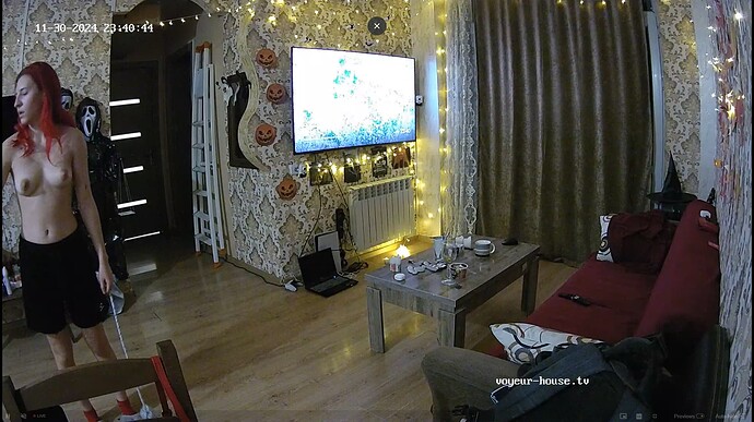 Ashampoo_Snap_samedi 30 novembre 2024_20h41m25s_017_Living room camera at Roy & Cheryl reallifecam apartment at Voyeur House TV (cam13) - Google Chrome