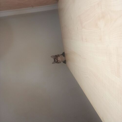 IMG_20221130_125701_783