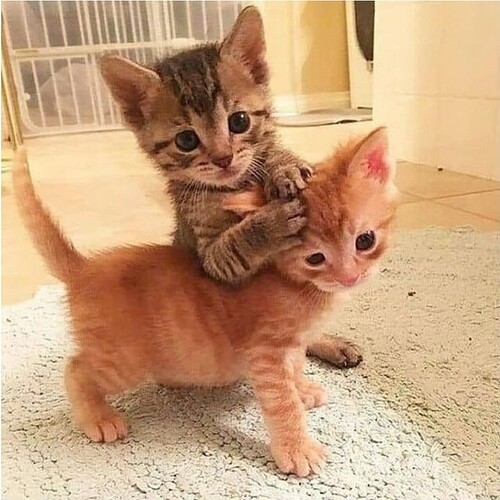 main-qimg-282d7f576cb563510bde056219298d89