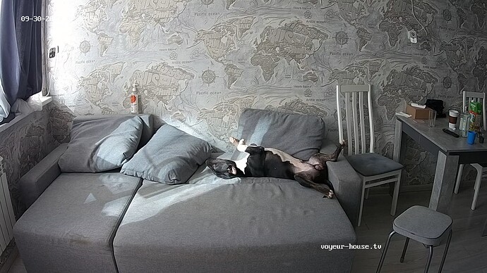 realm33-cam14-1696058490