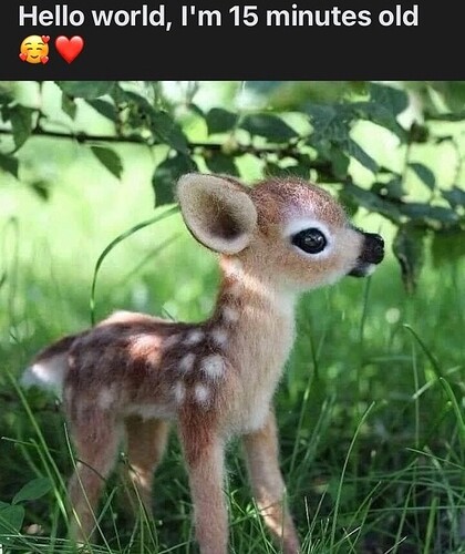 main-qimg-71cd252af649e476cfcea0d22500a54e