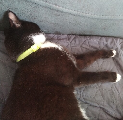 IMG_20260129_134557_edit_135043196736817