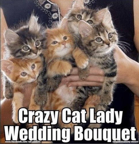 main-qimg-654549c88e12fe72f68c8b7f90e6ea7e