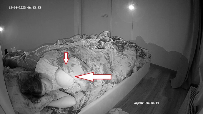 Cinderella and Shark