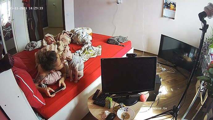 realm60-cam15-1715427001