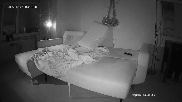 realm132-cam15-1766415050