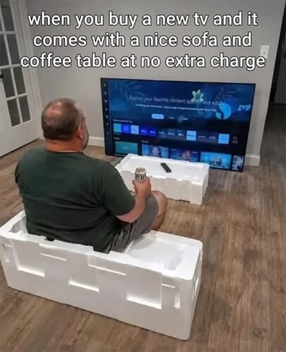 TV Sofa