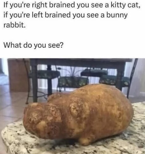 Hippo