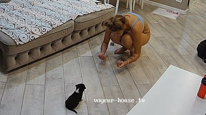 Ashampoo_Snap_mercredi 3 juillet 2024_0h12m28s_011_